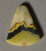Yellow banded opal flat bell pendant bead.