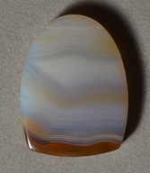 Piranha agate shield shaped pendant bead