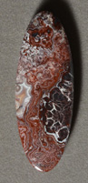 Mexican crazy lace agate oval pendant bead.