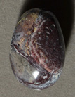 Mexican crazy lace agate oval nugget pendant bead.