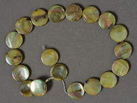 Large mother of pearl coin beads.
