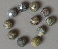 12mm faceted crinoid fossil round beads.