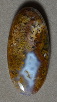 Long oval cabochon from petrified wood opal.