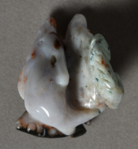 Agate dolphins