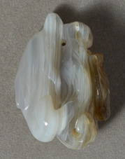 Agate dolphin